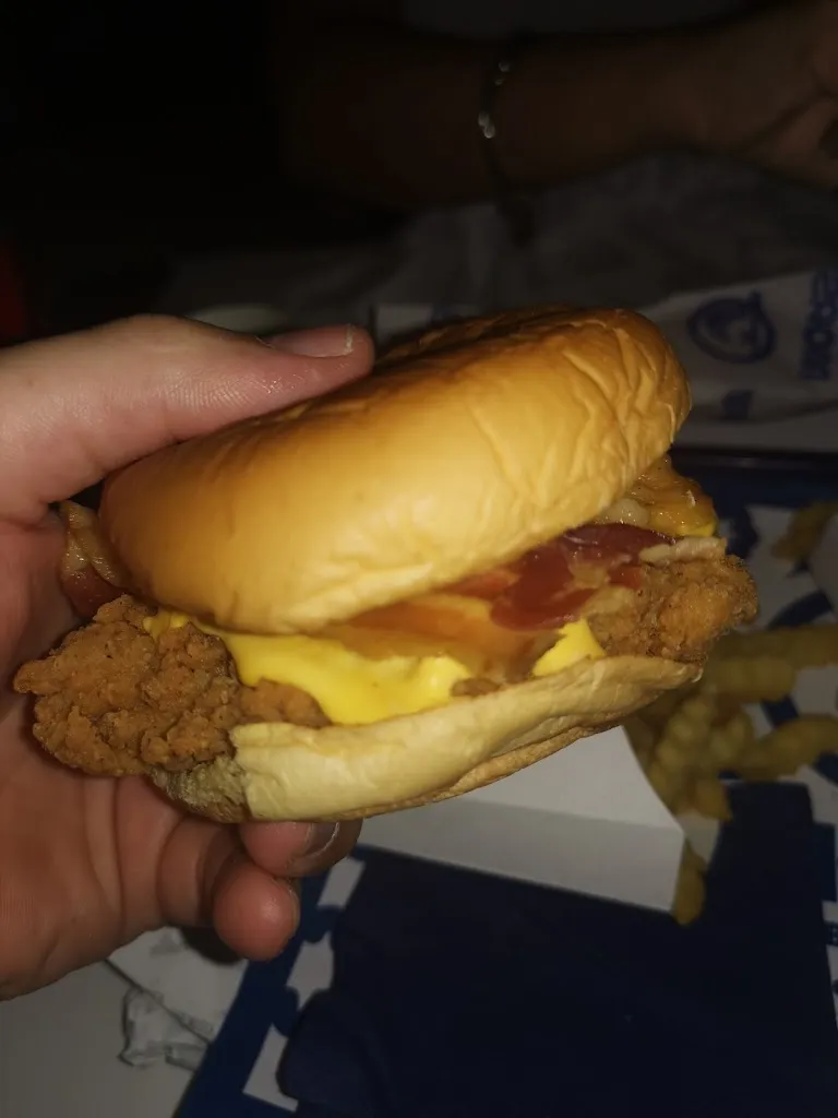 Menu_Morsi Burger_Borgo Santa Maria Immacolata_image_6