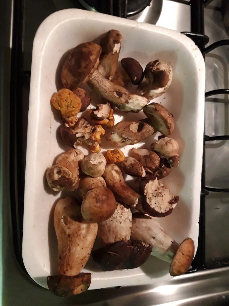 Menu_Chalet Pineta_Cevo_image_4