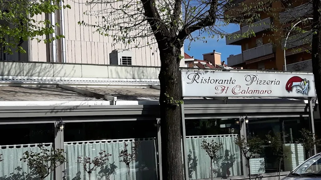 Ristorante Pizzeria Il Calamaro restaurant in Cesano Boscone