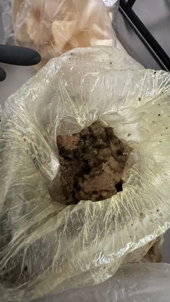 Gaya_SL Ristorante_Cesano Boscone_review