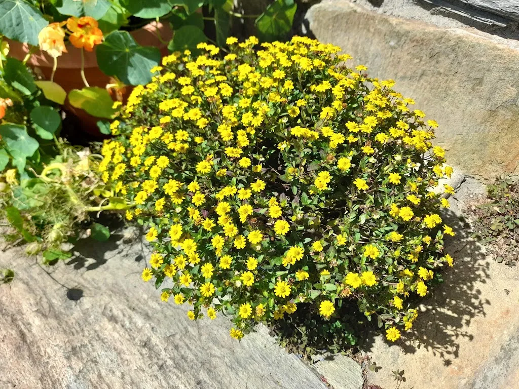 Stefano Erba_Agriturismo Al'_Chiesa in Valmalenco_review