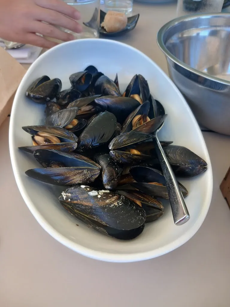 Menu_Alberto Berardi_Chiaravalle_immagine_9