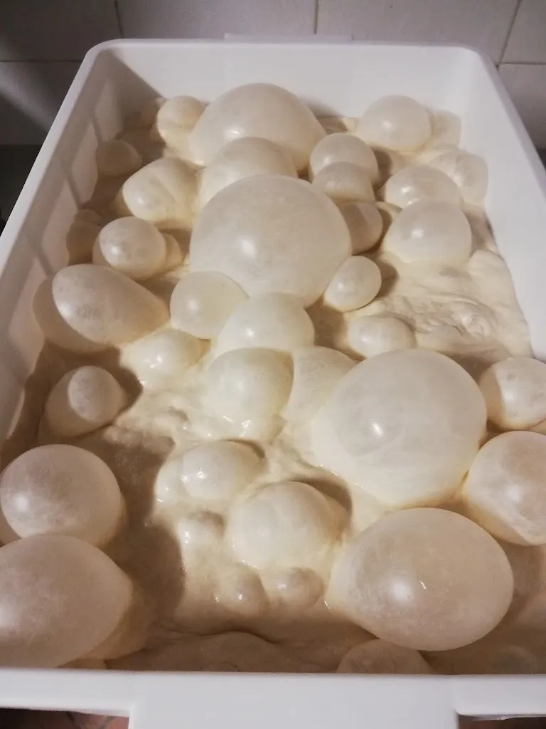 Menu_Pizzeria Katy_Chiaravalle_image_5