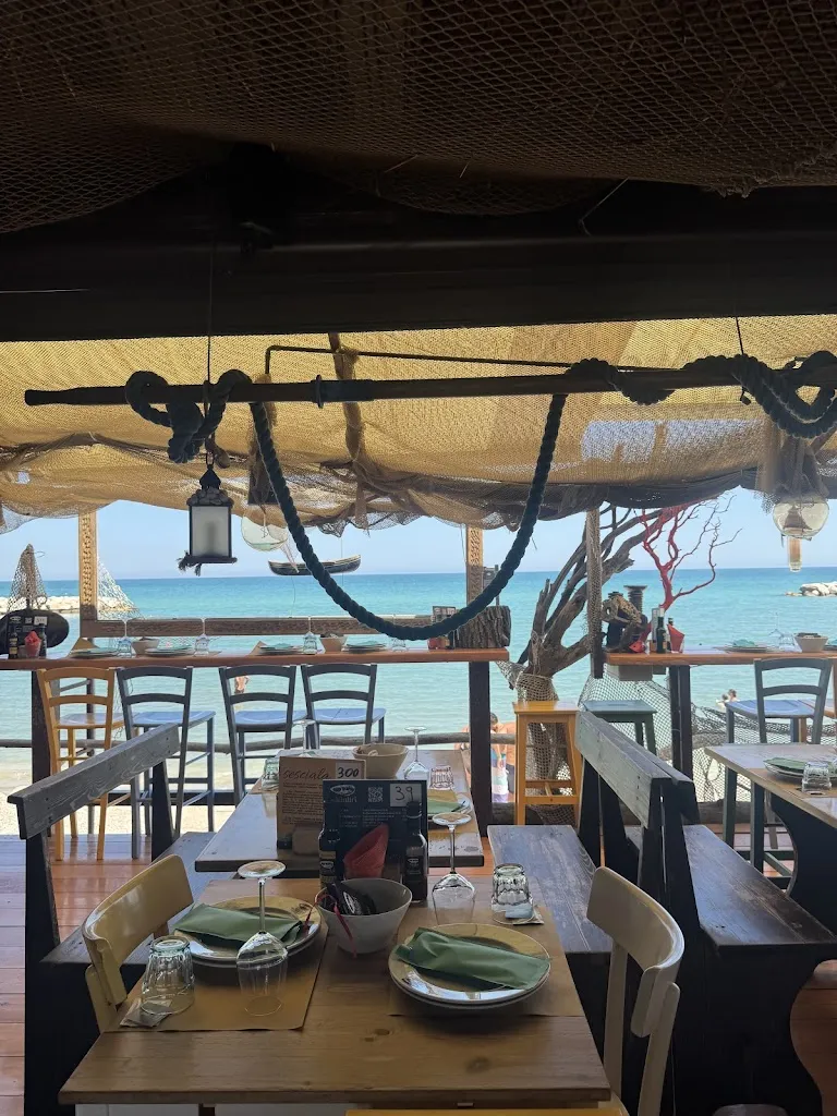 Veronica Calvi Musini_Nialtri_Chiaravalle_review