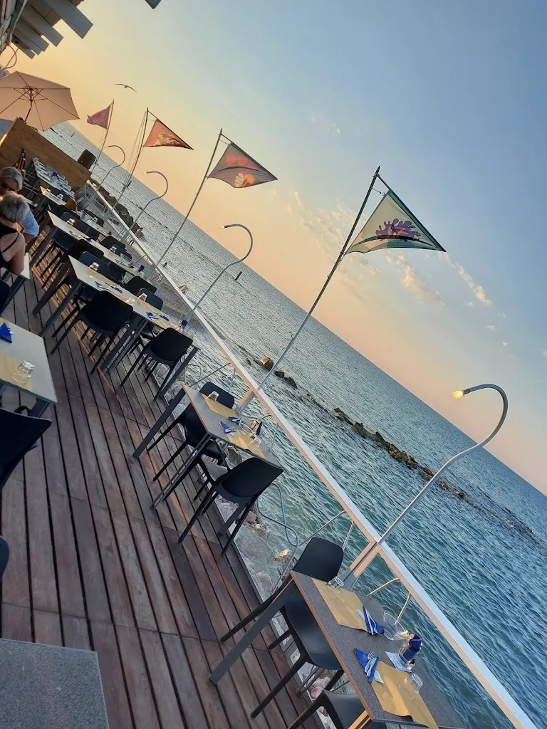 Paola Damini_Chalet Beach_Chiaravalle_review