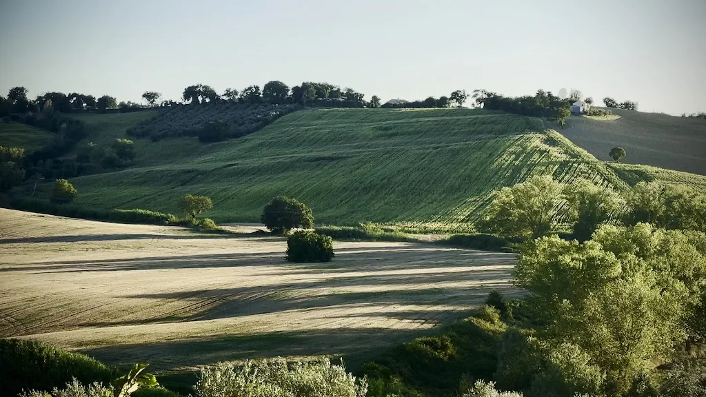 Giulia Brioschi_Agriturismo La Nocicchia_Chiaravalle_Bewertung