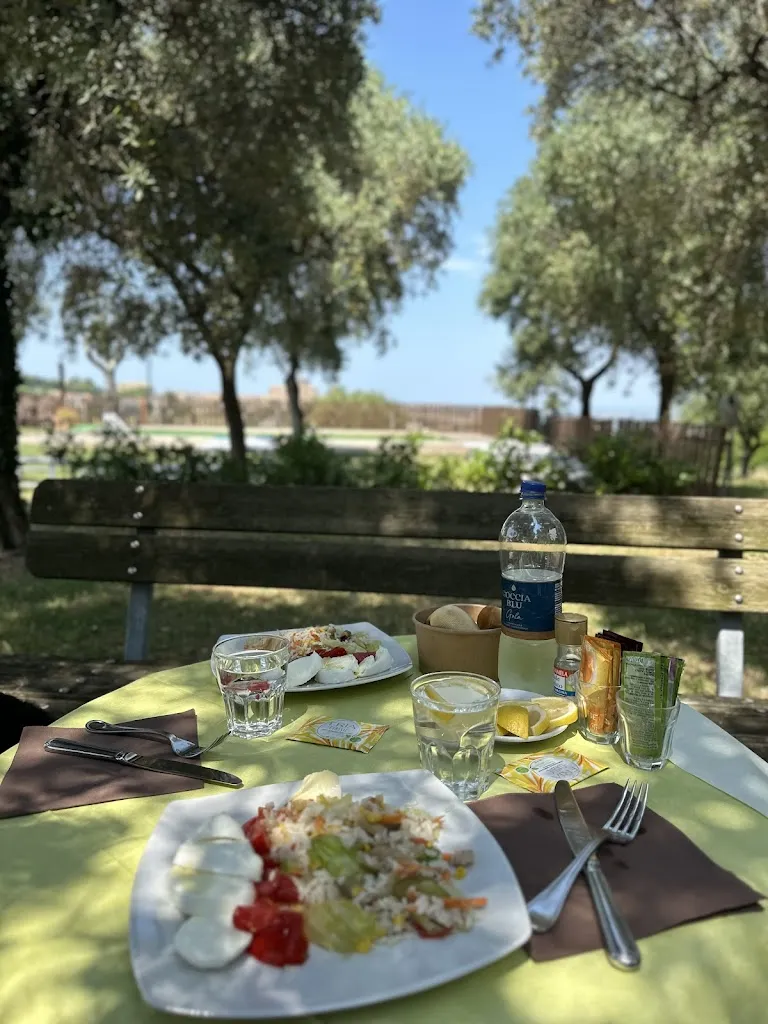 Maruša Podjed_Gli Ulivi del Monte_Chiaravalle_review