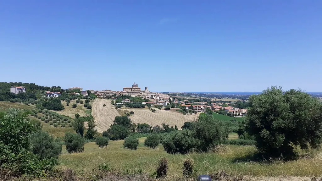 Gli Ulivi del Monte_Chiaravalle_slider_image_2