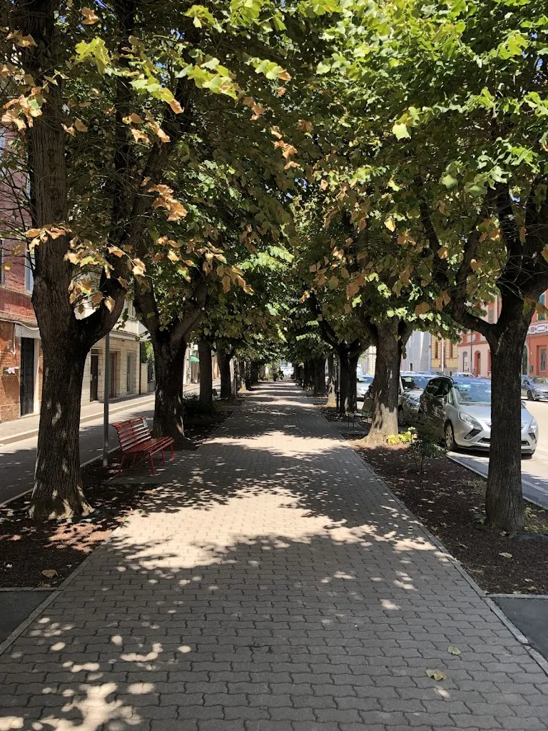 Nicoletta Vecchiato_Trattoria Del Pescatore_Chiaravalle_review