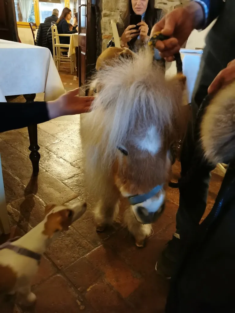 Roberto Boroni_Farmhouse La Fattoria from Betel_Chiuduno_review