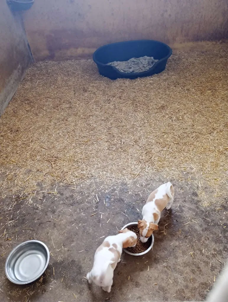 Stasy Trendafilova_Farmhouse La Fattoria from Betel_Chiuduno_review