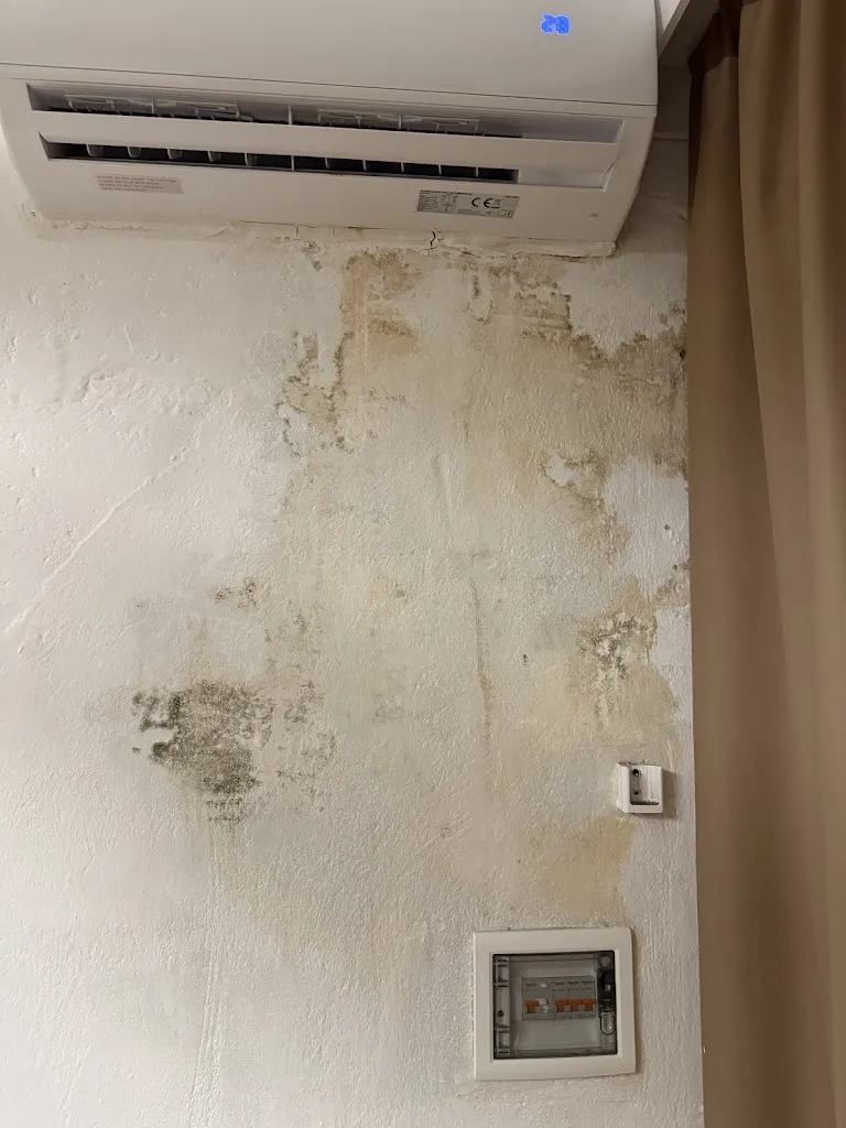 Lavinia Bellandi_Giardini di Marzo_Alliste_review