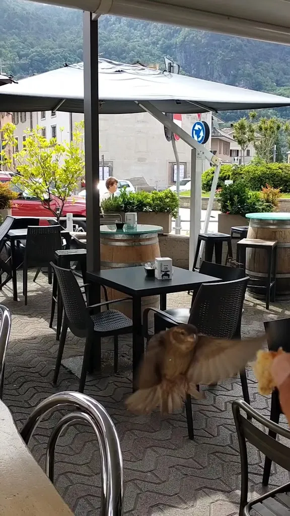 Bar Caffetteria Gelateria Povero Diavolo_Chiavenna_slider_image_2