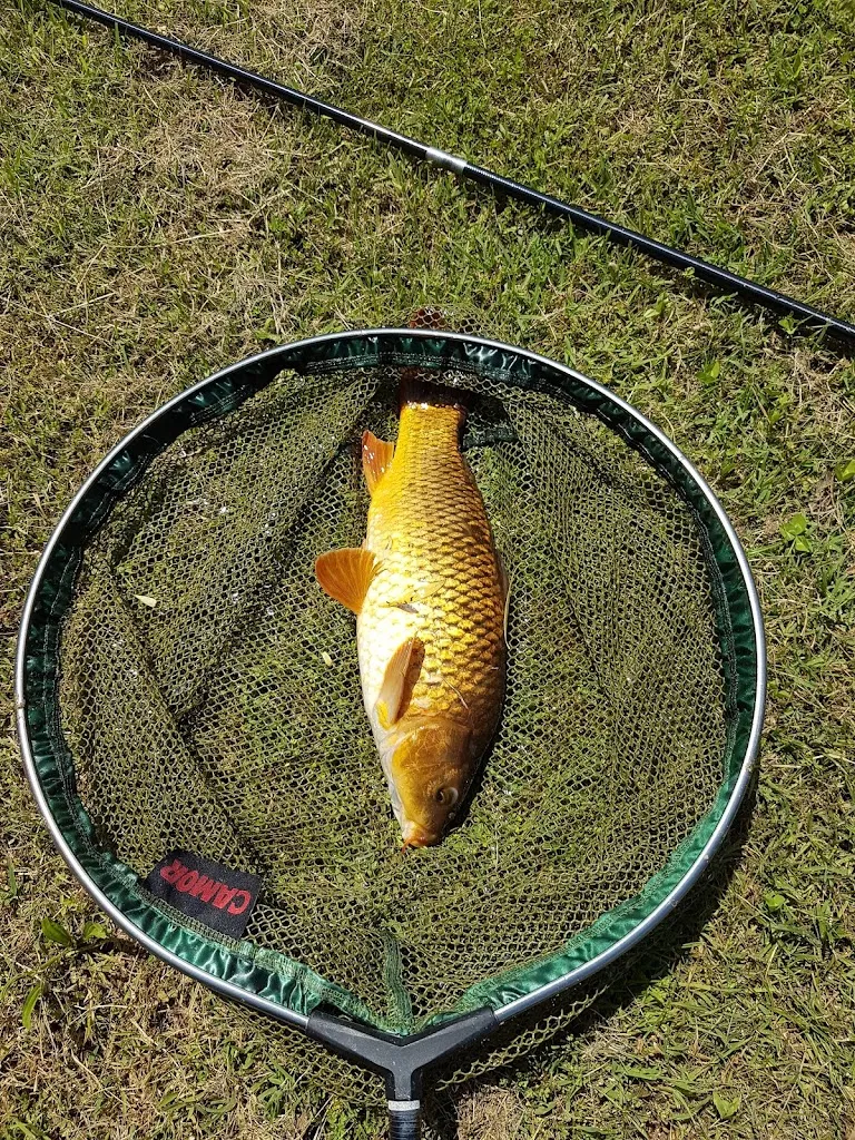 Menu_Lago Airone_Cilavegna_image_3