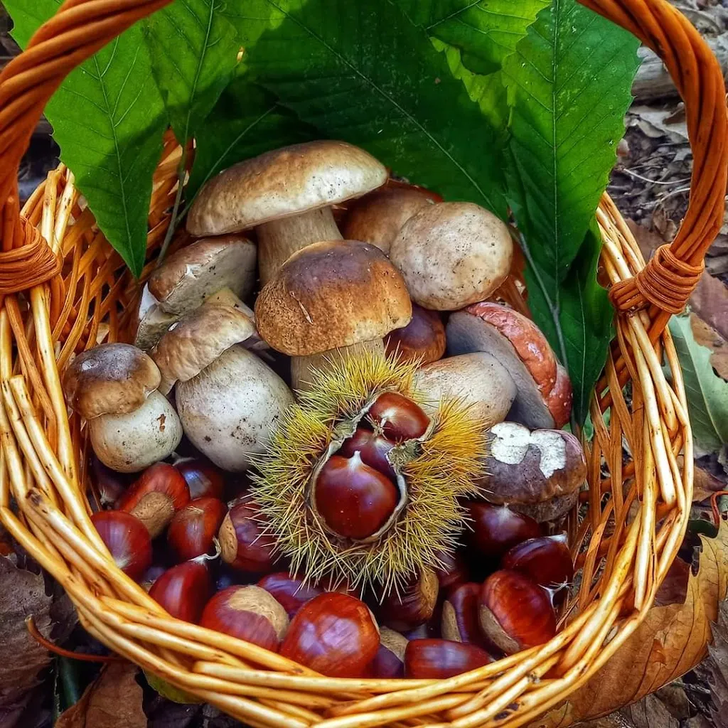 Menu_Ristorante Marisa_Cislago_image_8