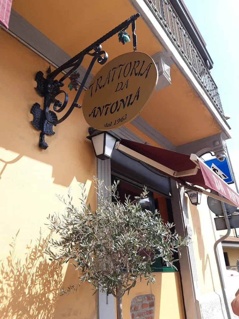 Michela Moreschini_Ristorante Trattoria da Antonia_Civesio_review