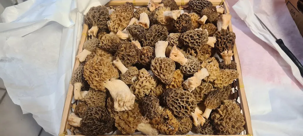 I BARABITT per prenotazioni solo WhatsApp_Cittiglio_slider_image_2