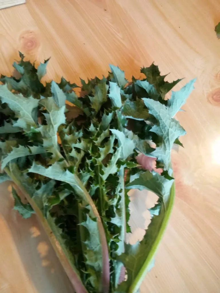 Menu_Agriturismo Sciareda_Cittiglio_image_3