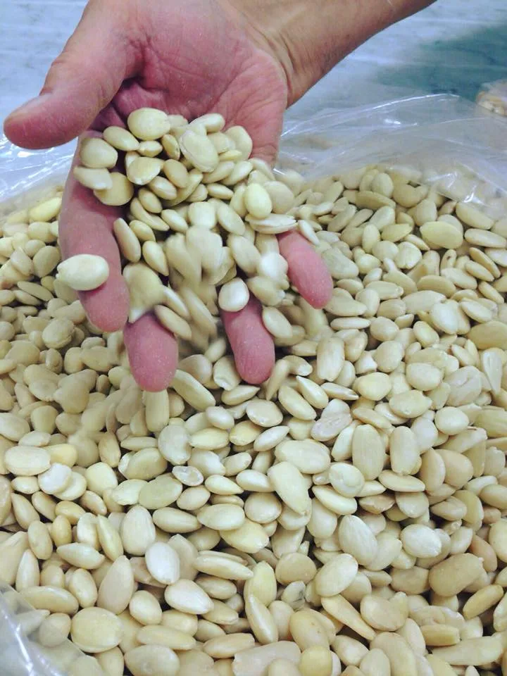 Menu_Pasticceria Guerini Giovanni_Cividate al Piano_image_7