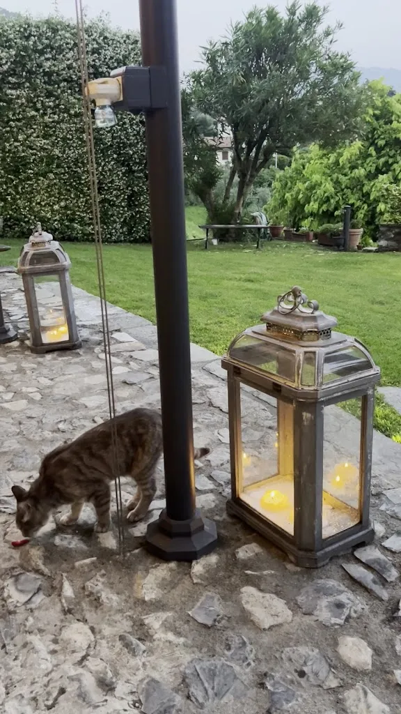 Lesia Mykhailenko_Ristorante Ali di Alice_Codogna-Cardano_review