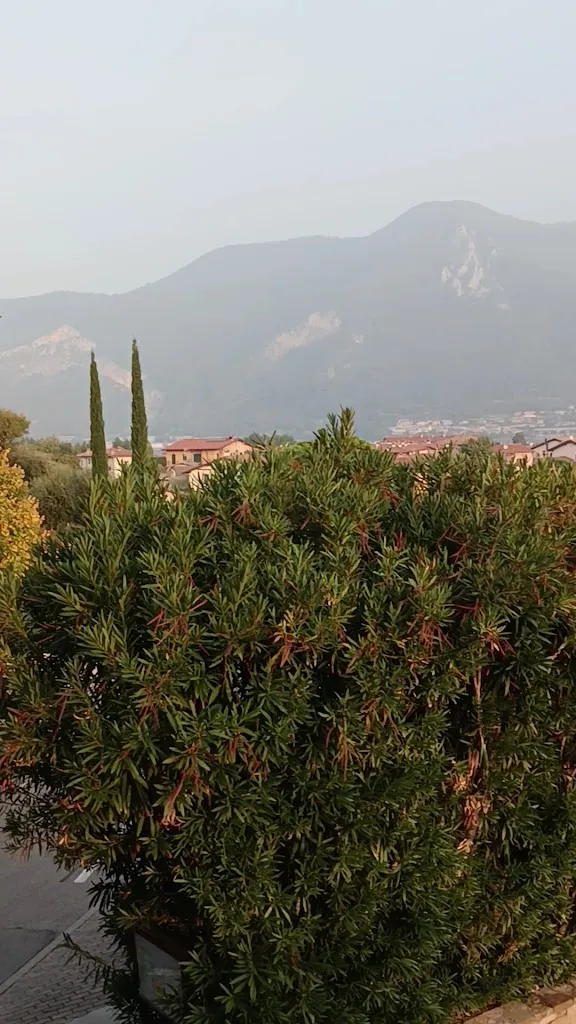 Ristorante Locanda del lago Rosmunda_Clusane_slider_image_2
