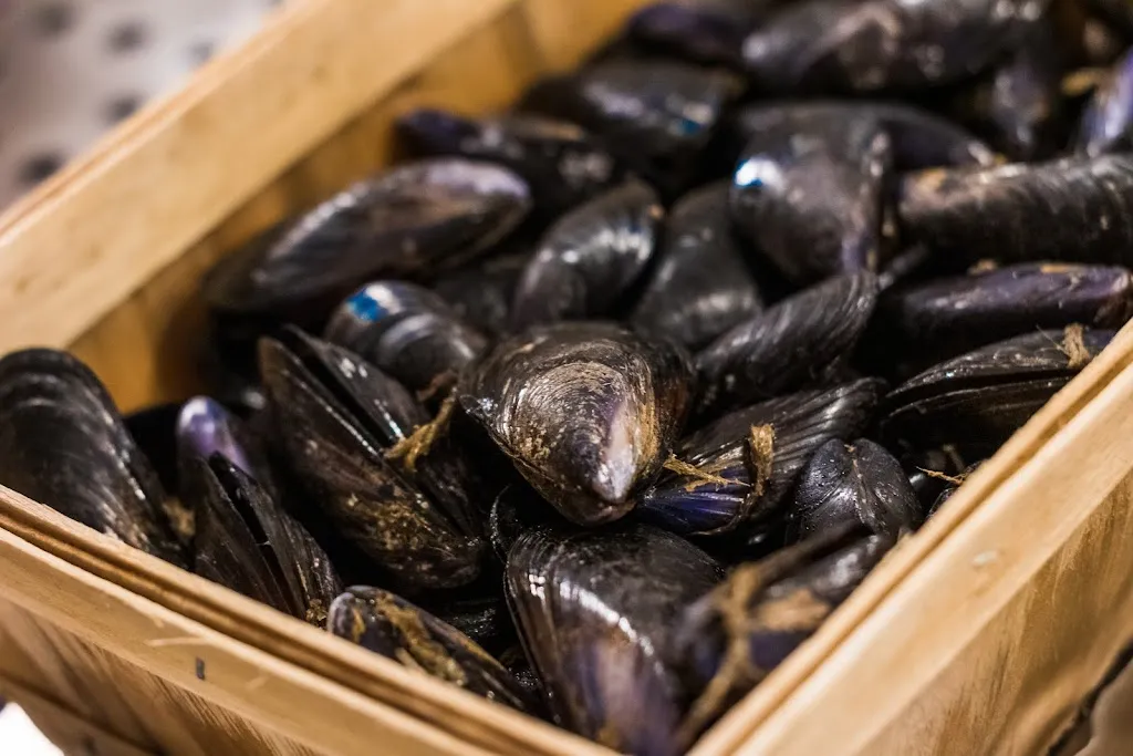 Menu_A C E L I P E R T I _Alliste_image_1