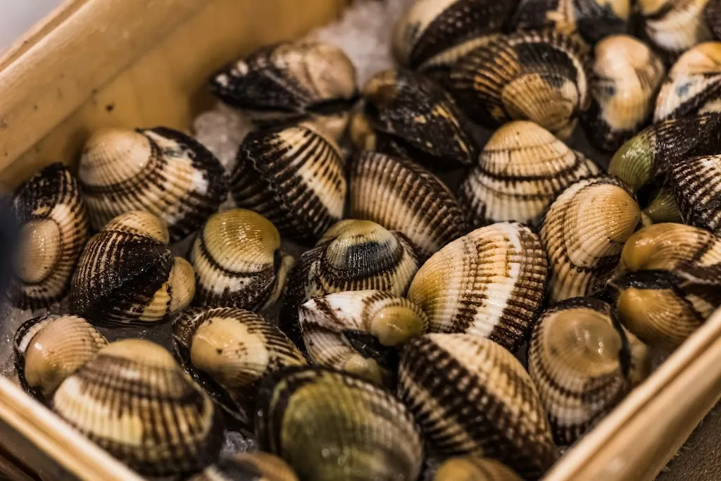 Menu_A C E L I P E R T I _Alliste_image_4