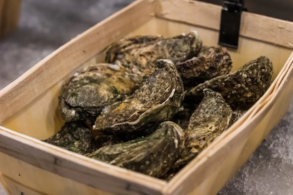 Menu_A C E L I P E R T I _Alliste_image_5