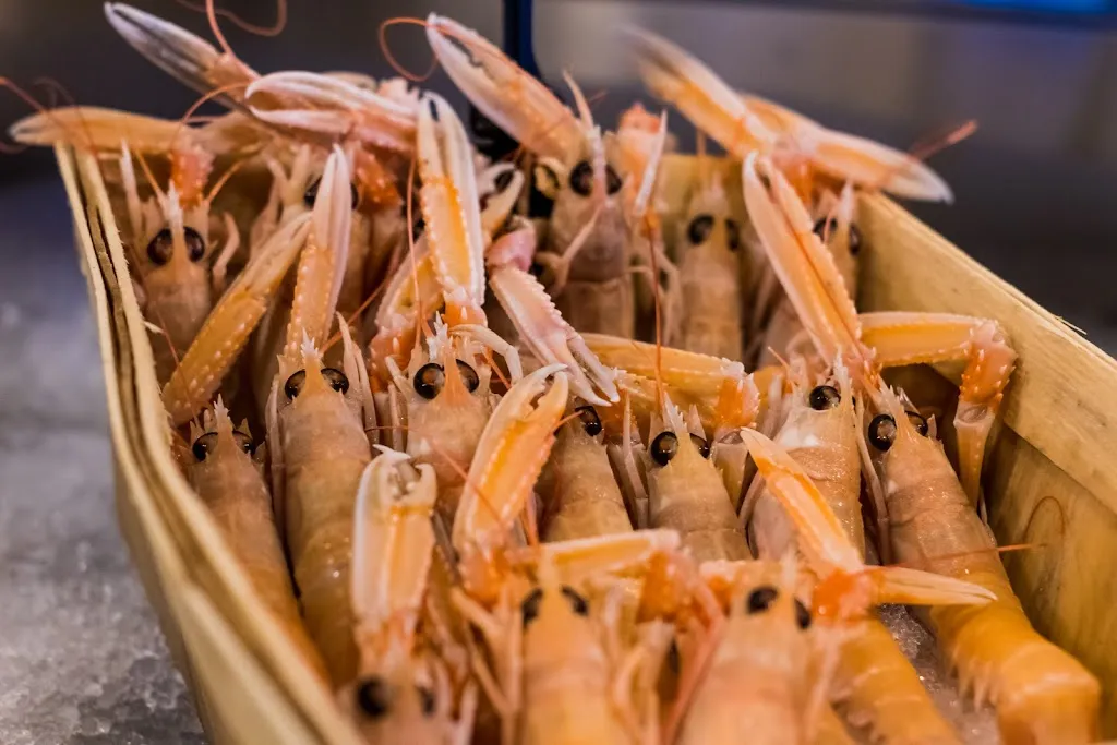 Menu_A C E L I P E R T I _Alliste_image_7