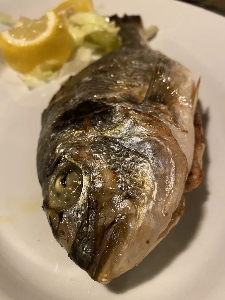 Giulio Ciannamea_A C E L I P E R T I _Alliste_review