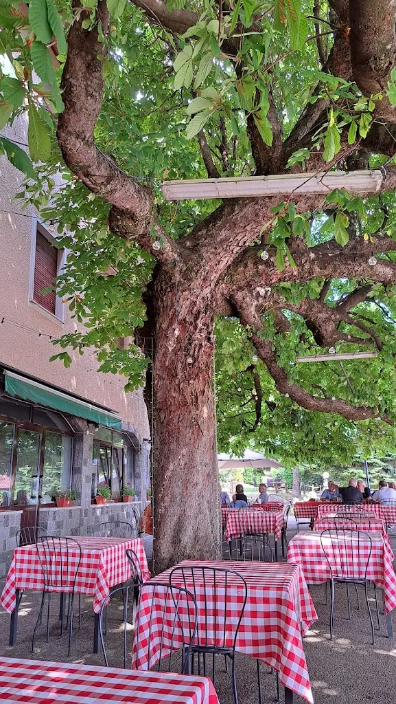 Elena Casa_Trattoria Bellavista_Colle Brianza_recensione