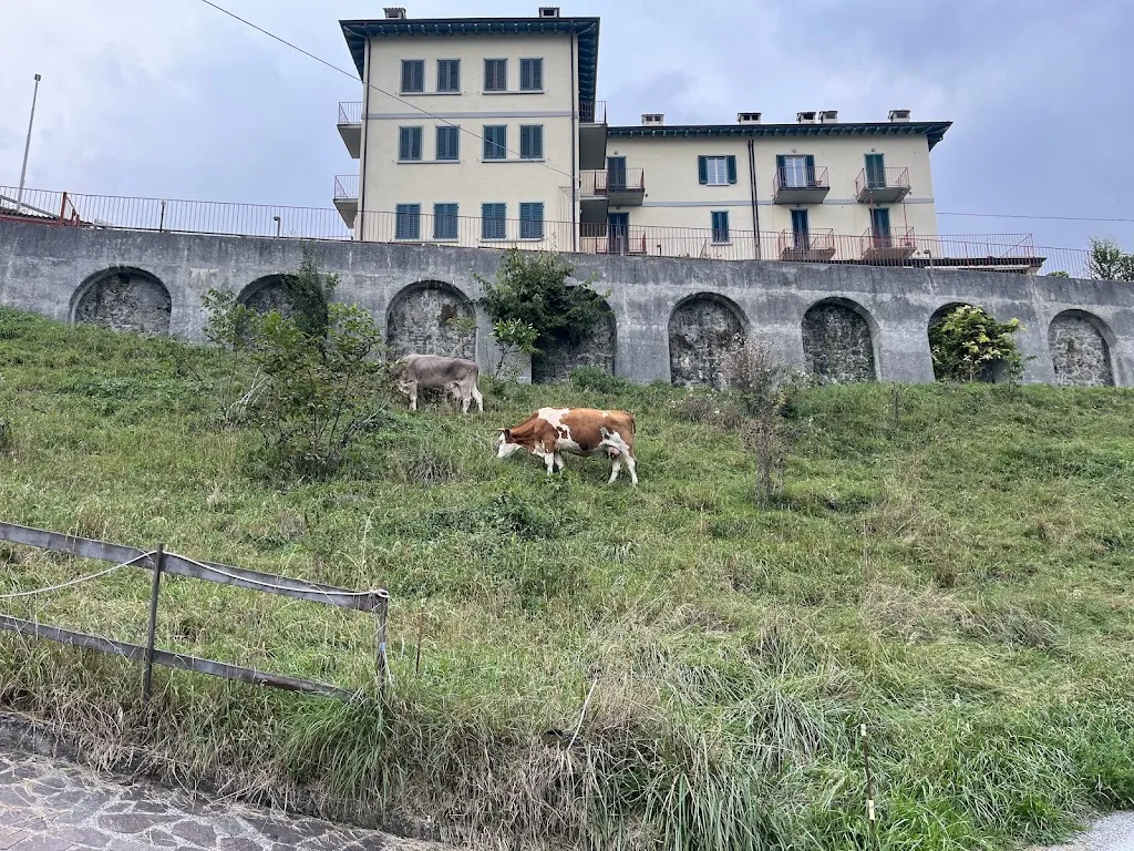 Albergo Coira restaurant in Colla-Muggiasca