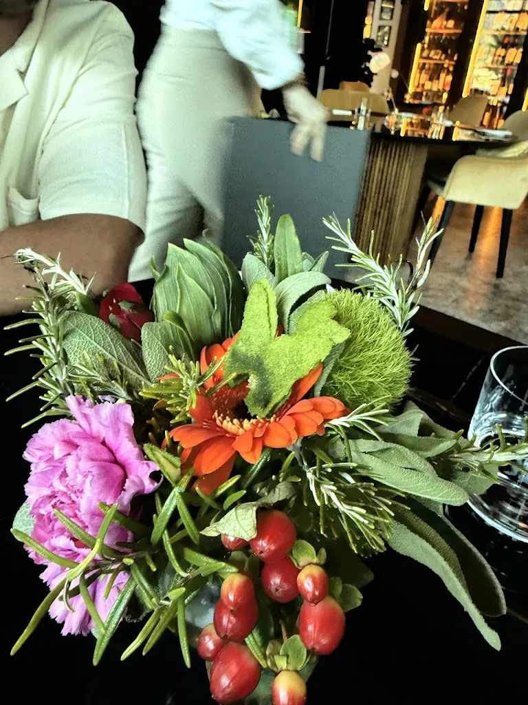 Chloe Faddy_Roteo_Colonno_review