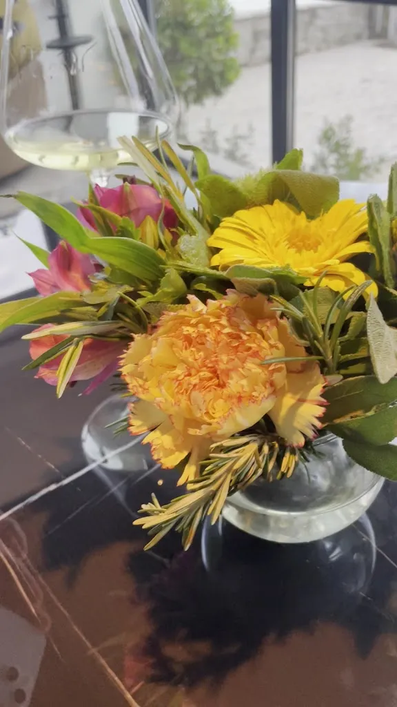 Terrence Liong_Roteo_Colonno_review