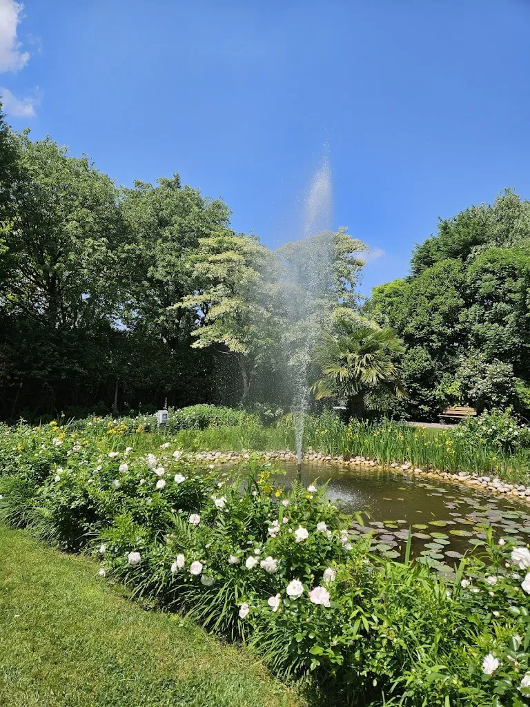 Leila Romeo_Ristorante Il Bocchi Comazzo_Comazzo_review