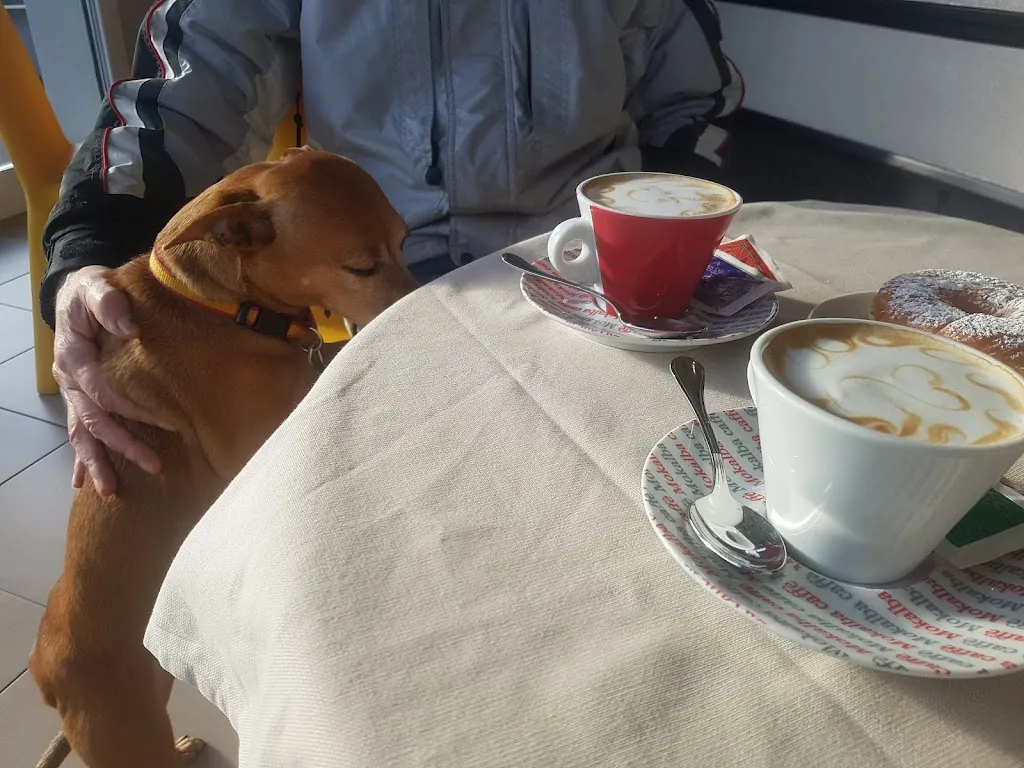 Millennium, partner Elfbar_Cologno al Serio_slider_image_3