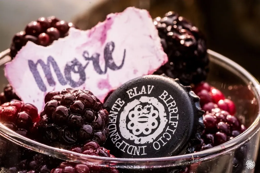 Menu_Birrificio Indipendente Elav_Comun Nuovo_image_4