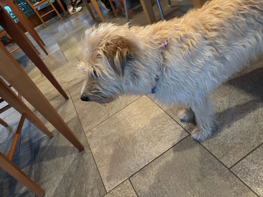 Conrad H._Ristorante @ Agriturismo Cà del Lago_Consiglio di Rumo_review