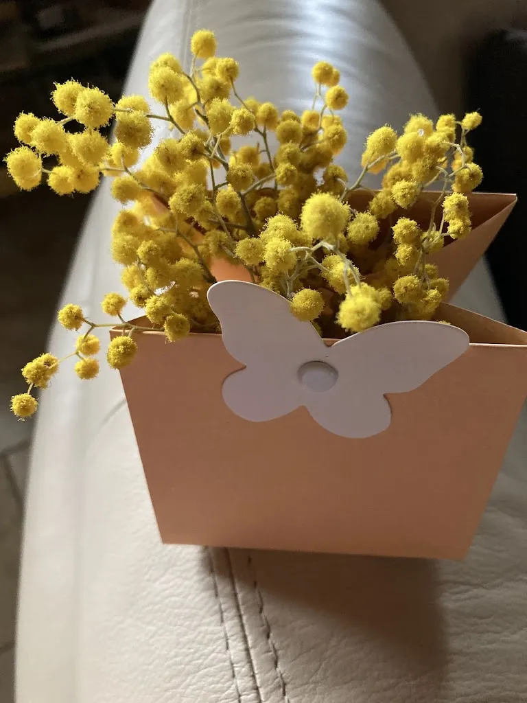 TINA B_Dal turco_Commessaggio_review