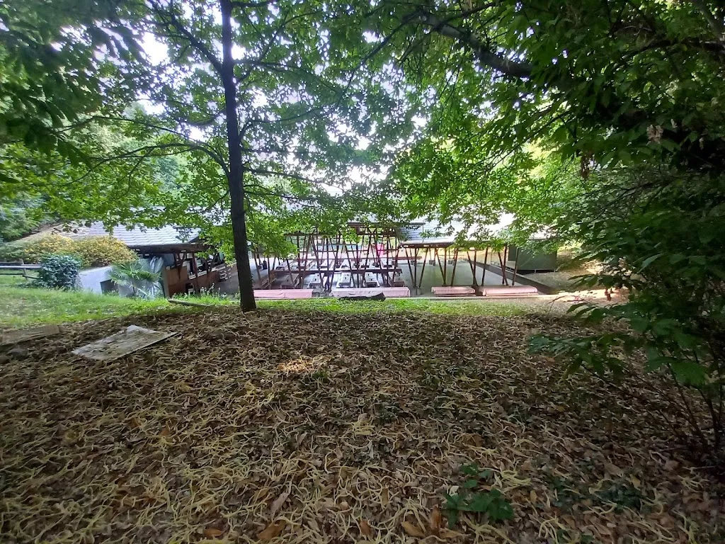 PAOLO OLGIATI_Bosco di Capra_Corgeno_review