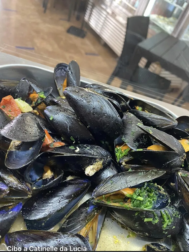 Menu_Cibo a Catinelle da Lucia_Apricena_immagine_7