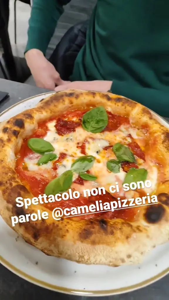 Camélia pizzeria contemporanea_Corbetta_slider_image_2