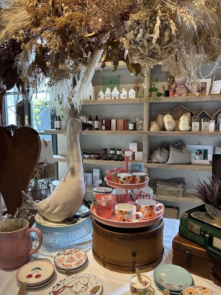 Maax Maax_Hello concept store_Corbetta_review