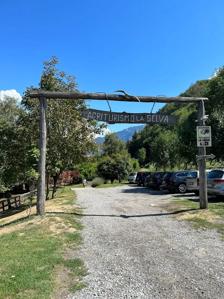 David D_Agriturismo La Selva_Cosio Valtellino_review