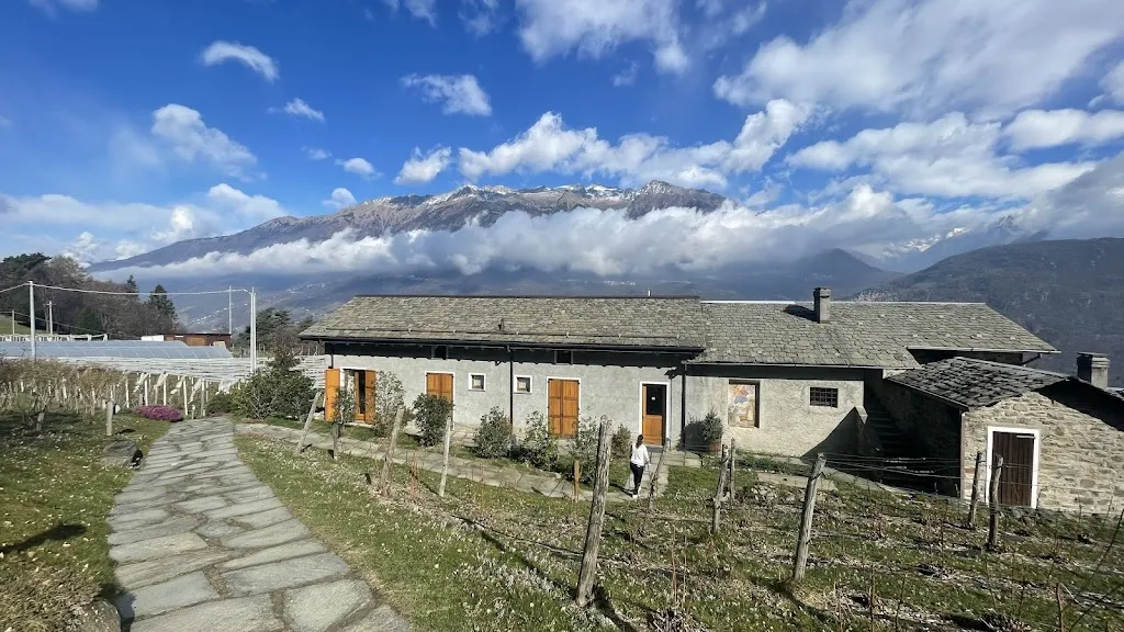 Ohad Lehrer_Agriturismo Ortesida_Cosio Valtellino_review