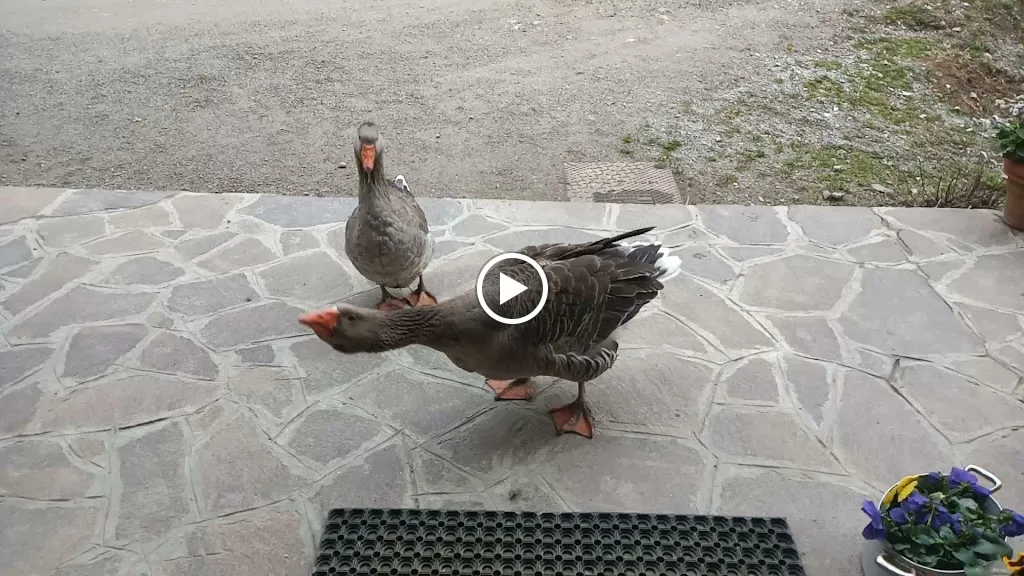 AGRITURISMO CASCINA CORNELLA_Cremeno_slider_image_1