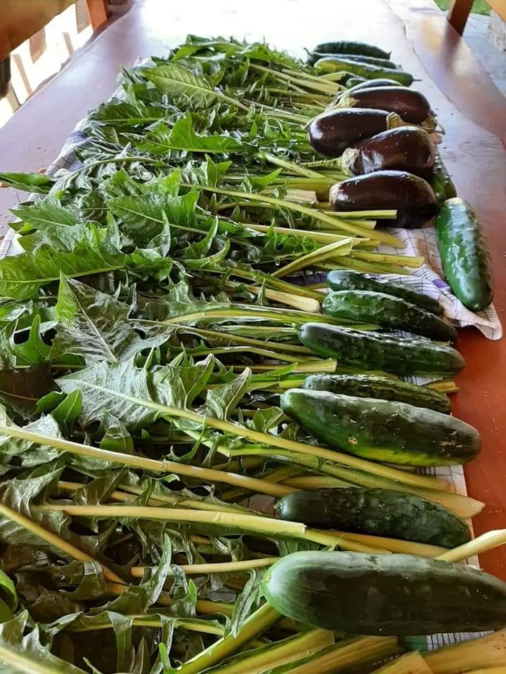 Menu_Stella Alpina_Cremeno_immagine_4