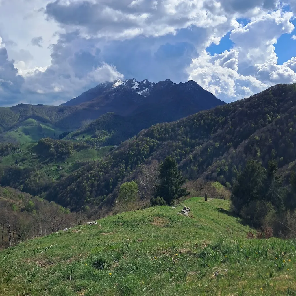 Cristiana Matrale_Stella Alpina_Cremeno_recensione