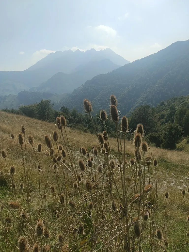 Viviana Verpiglio_Stella Alpina_Cremeno_recensione