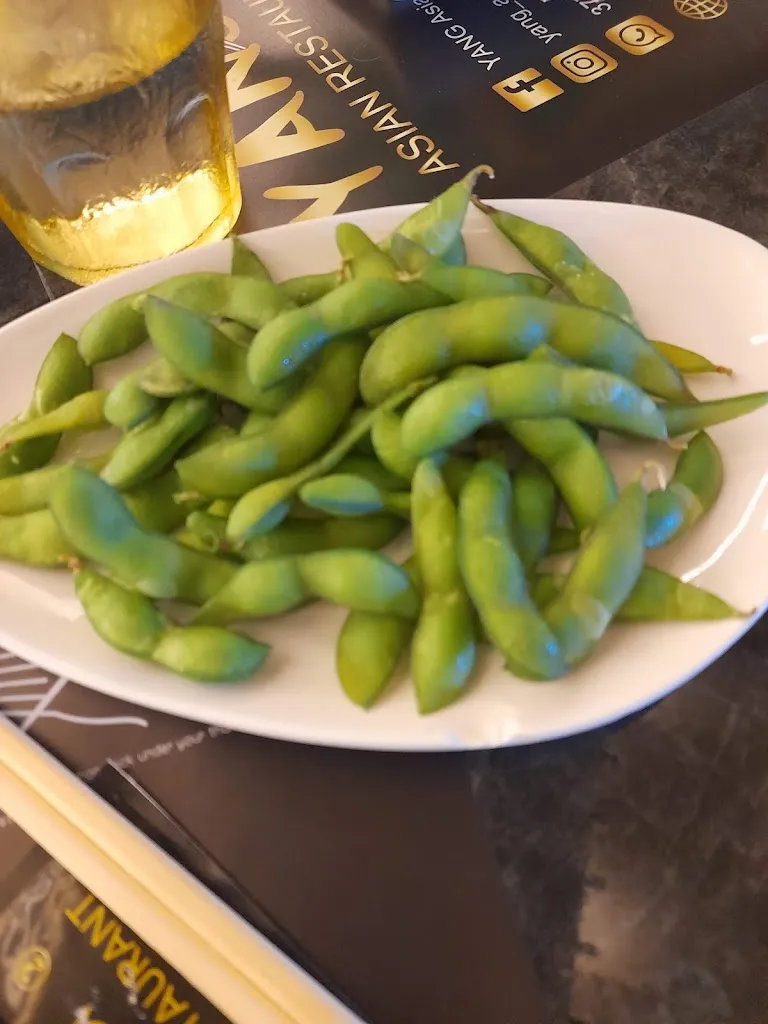 Menu_Yang Asian Restaurant - Costa Volpino_Costa Volpino_image_5